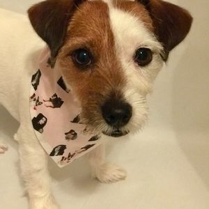 Meet your Posher, Helga